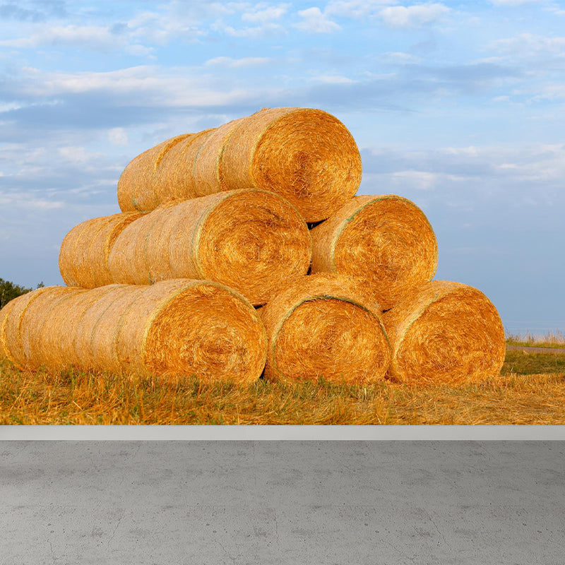 Moisture Resistant Hay Roll Mural Personalized Modern Wall Covering for House Interior