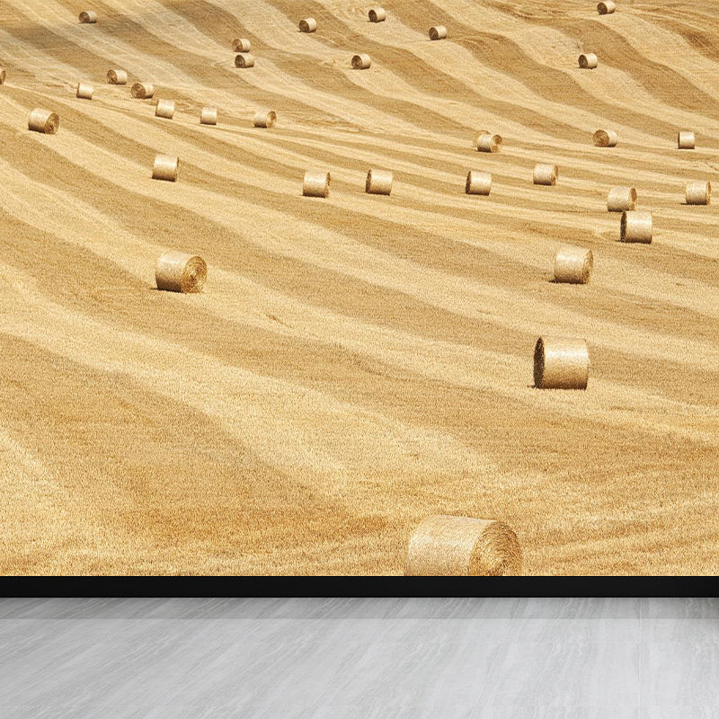 Moisture Resistant Hay Roll Mural Personalized Modern Wall Covering for House Interior