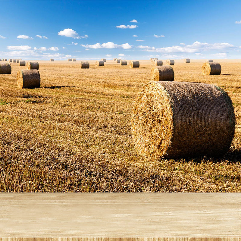 Moisture Resistant Hay Roll Mural Personalized Modern Wall Covering for House Interior