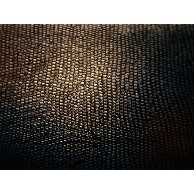 Dark Color Modern Wall Mural Decal Large Animal Print Wall Covering for Sitting Room