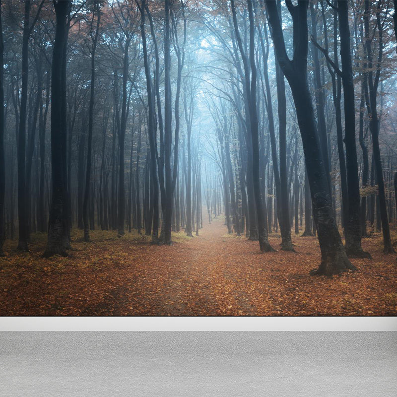 Misty Forest Landscape Wallpaper Mural Contemporary Smooth Wall Covering in Dark Color