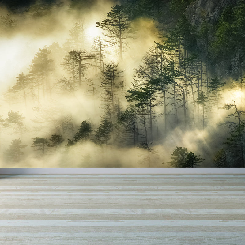 Dark Foggy Forest Mural Wallpaper Scenery Modern Waterproof Wall Art for Bedroom