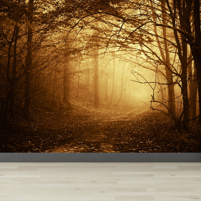 Dark Foggy Forest Mural Wallpaper Scenery Modern Waterproof Wall Art for Bedroom