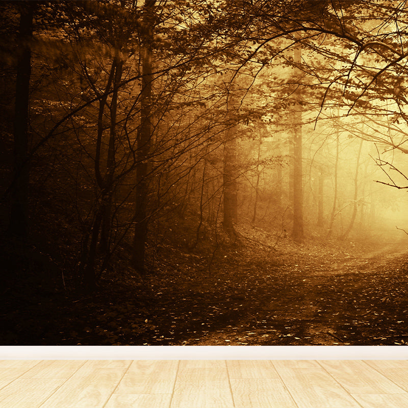 Dark Foggy Forest Mural Wallpaper Scenery Modern Waterproof Wall Art for Bedroom
