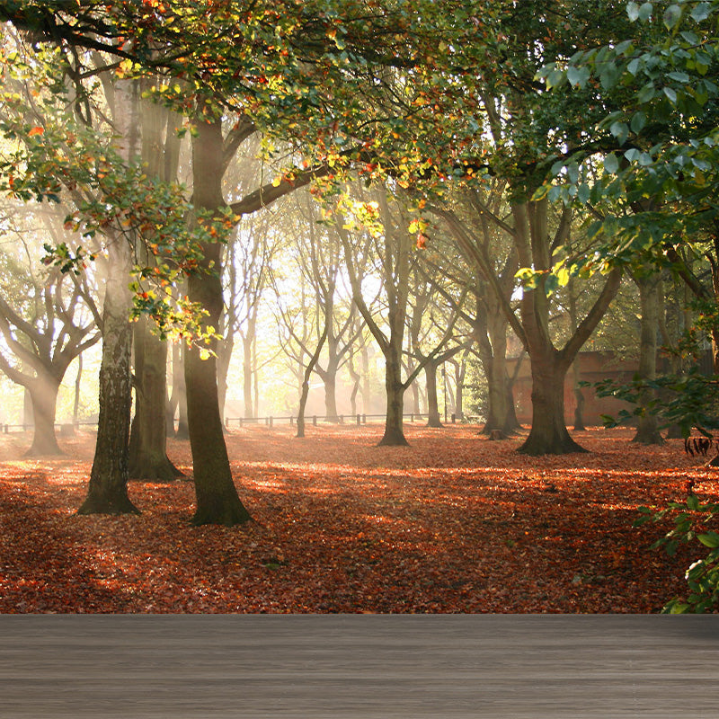 Photographic Misty Forest Wall Mural Big Wall Decor for House Interior, Custom Size