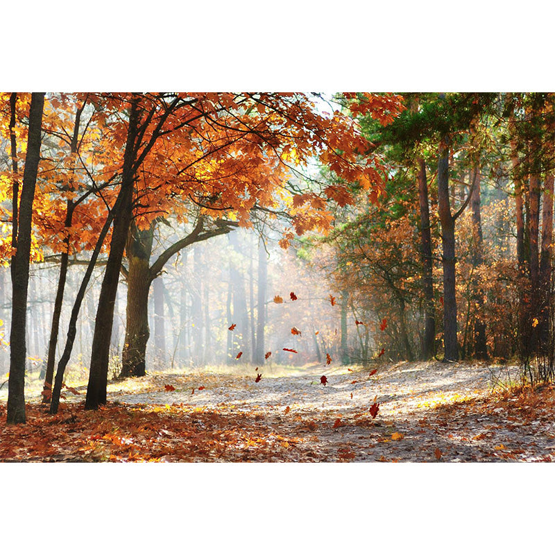 Whole Autumn Forest Mural Modern Mysterious Scenery Wall Art in Dark Color for Home