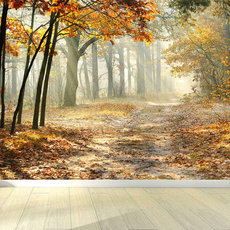 Scenery Print Mural Wallpaper Soft Color Contemporary Wall Decor for House Interior