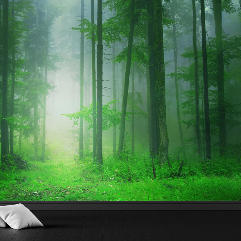 Photographic Print Cloud Forest Mural for Living Room, Dark Color, Customized Size