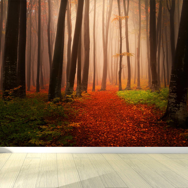 Photographic Print Cloud Forest Mural for Living Room, Dark Color, Customized Size