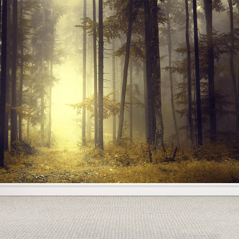 Papier peint mural de paysage de forêt brumeuse, décoration murale intissé moderne de couleur douce pour la maison