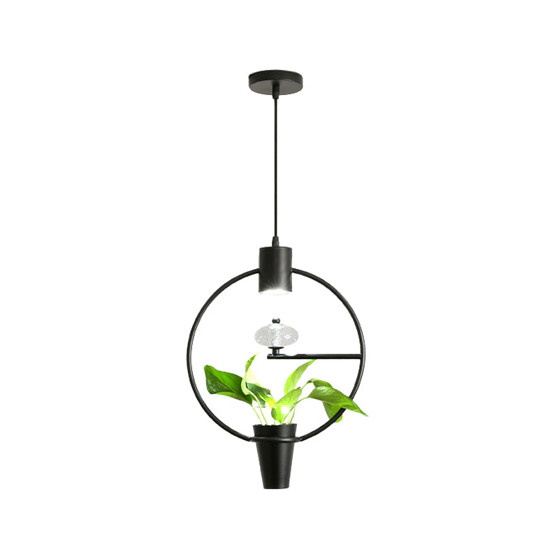 Suspension à LED à LED en métal Loft Black / Gol Circle / ovale / rectangle Pendante de salle à manger avec récipient de plantes