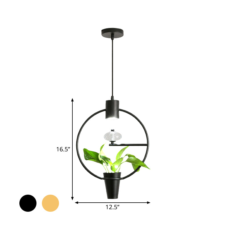Metal LED Pendulum Light Loft Black/Gold Circle/Oval/Rectangle Dining Room Pendant Lamp with Plant Container