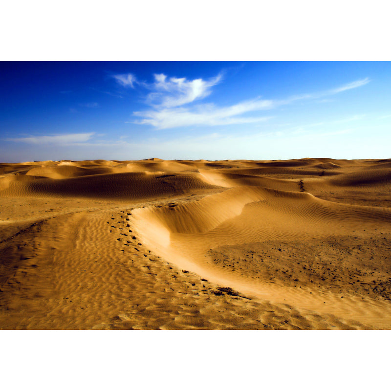 Yellow Desert Landscape Wallpaper Mural Stain-Resistant Wall Covering for Living Room