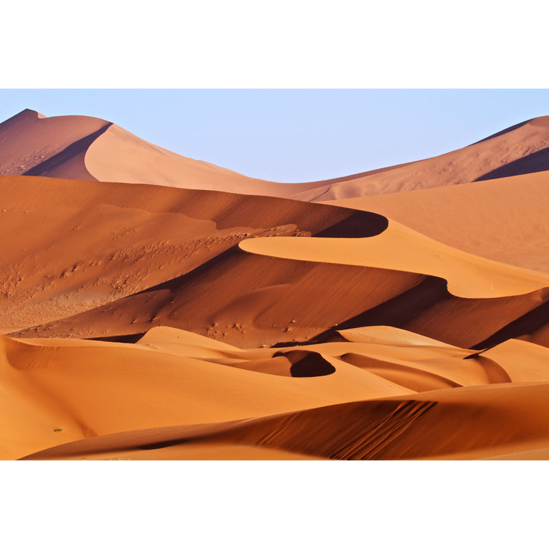 Tropical African Desert Wallpaper Mural Yellow Midday Scenery Wall Covering for Home