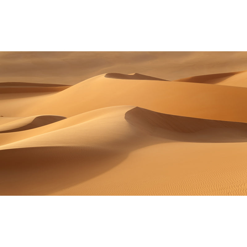 Whole Desert Mound Wallpaper Mural for Home Nature Landscape Wall Art in Yellow, Washable