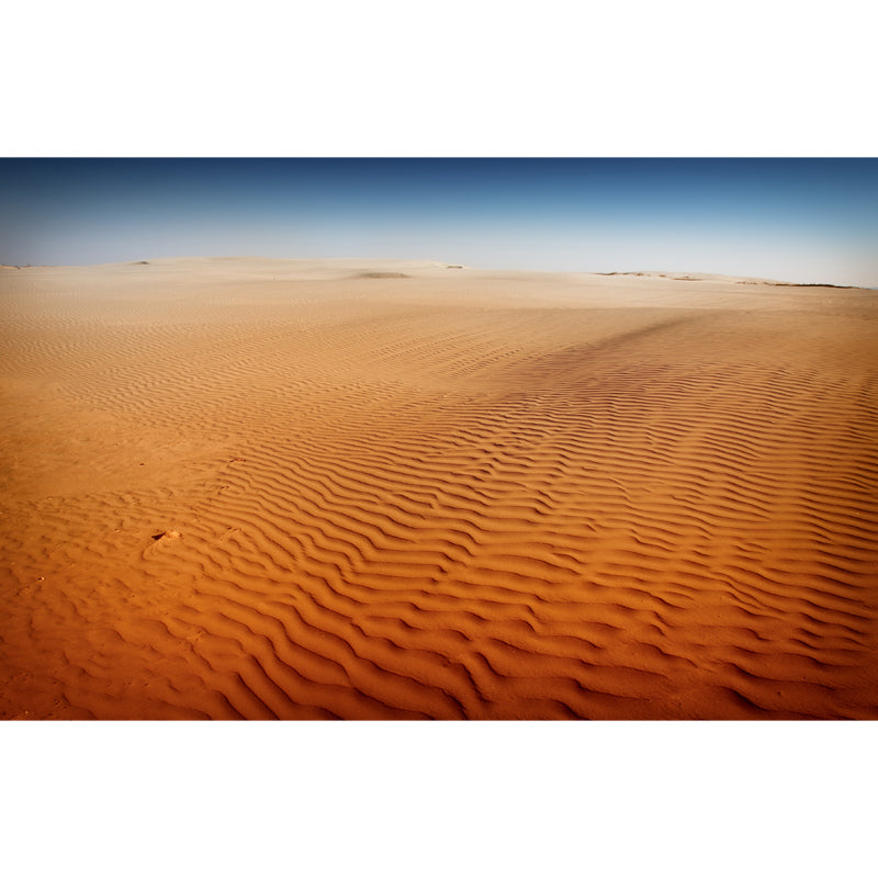 Desert Sand Waves Wall Mural Yellow Contemporary Wall Covering for Accent Wall, Made to Measure