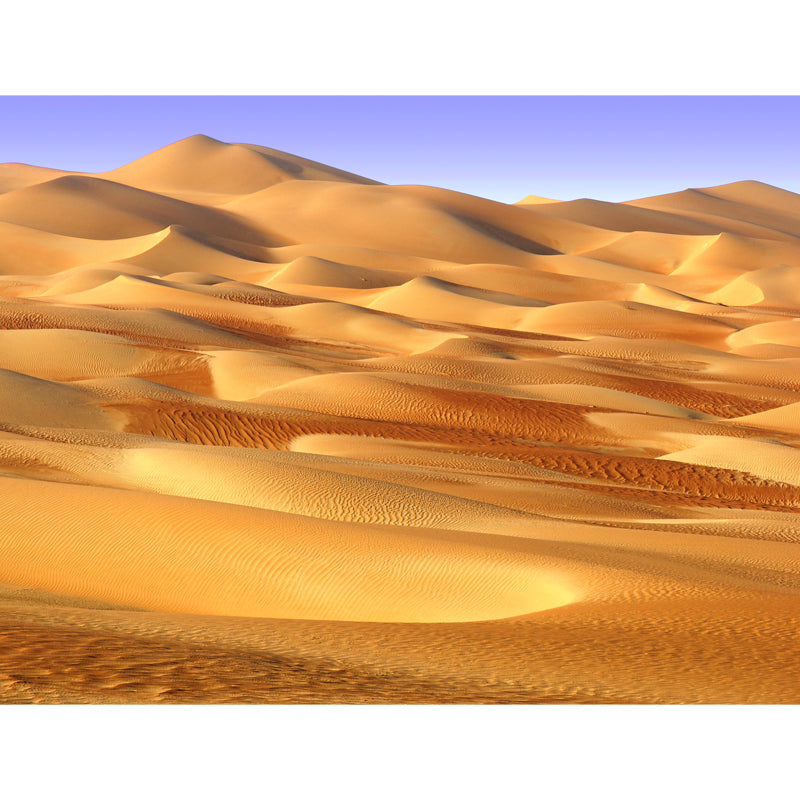 Sand Dunes Landscape Wallpaper Mural Contemporary Smooth Wall Art for Living Room