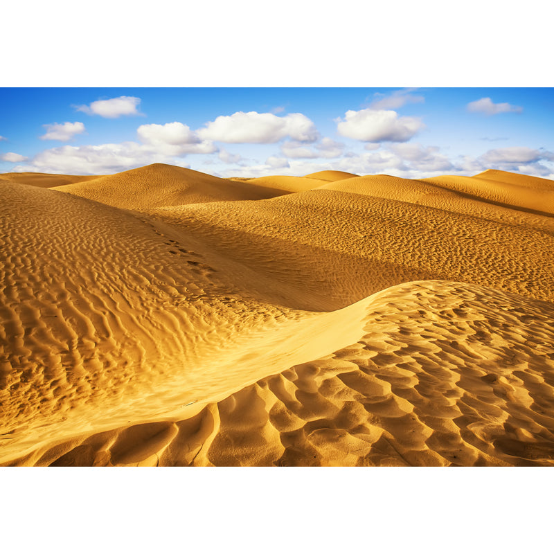 Grand Desert Dunes Scene Mural for Home Natural Landscape Wall Decor, Custom Size