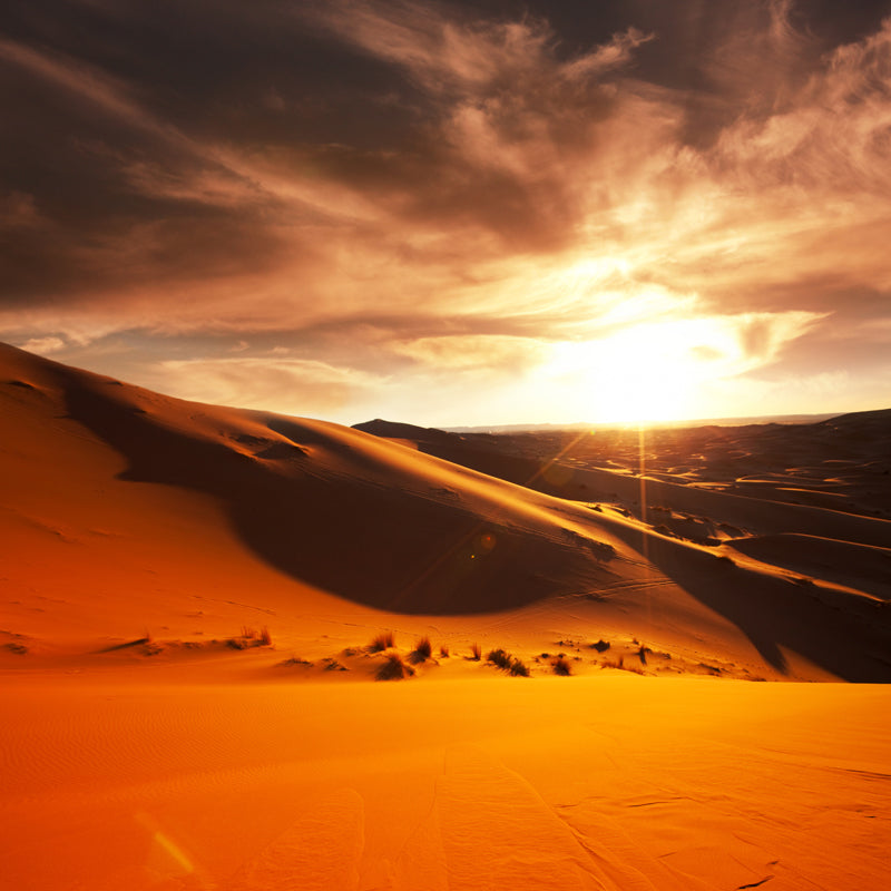 Customized Photography Modern Mural with Evening Sunshine over Desert Scenery in Yellow