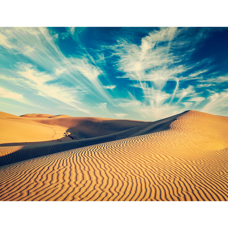 Yellow Contemporary Mural Full-Size View of Desert and Sky Wall Decor for Bedroom