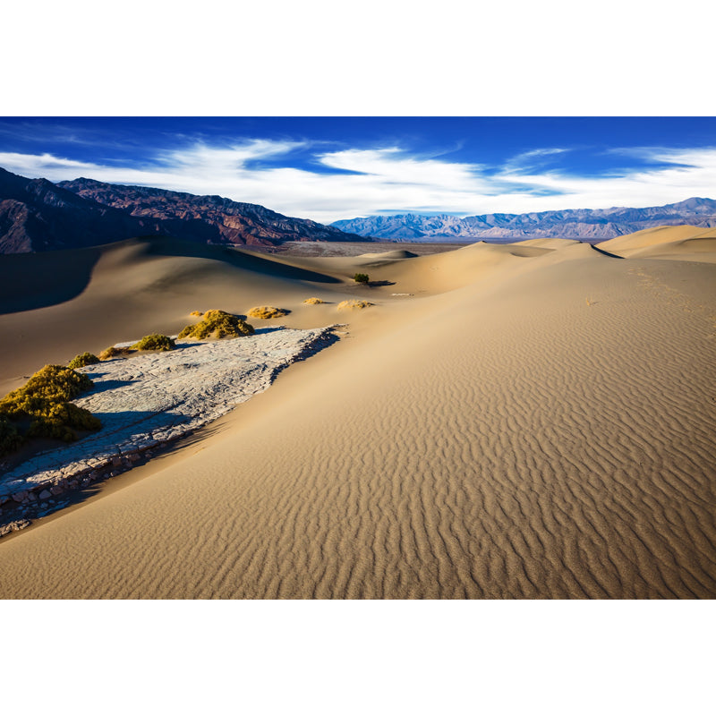 Big Modernist Wall Paper Mural Yellow Dune and Mountain Landscape Wall Covering, Custom Size