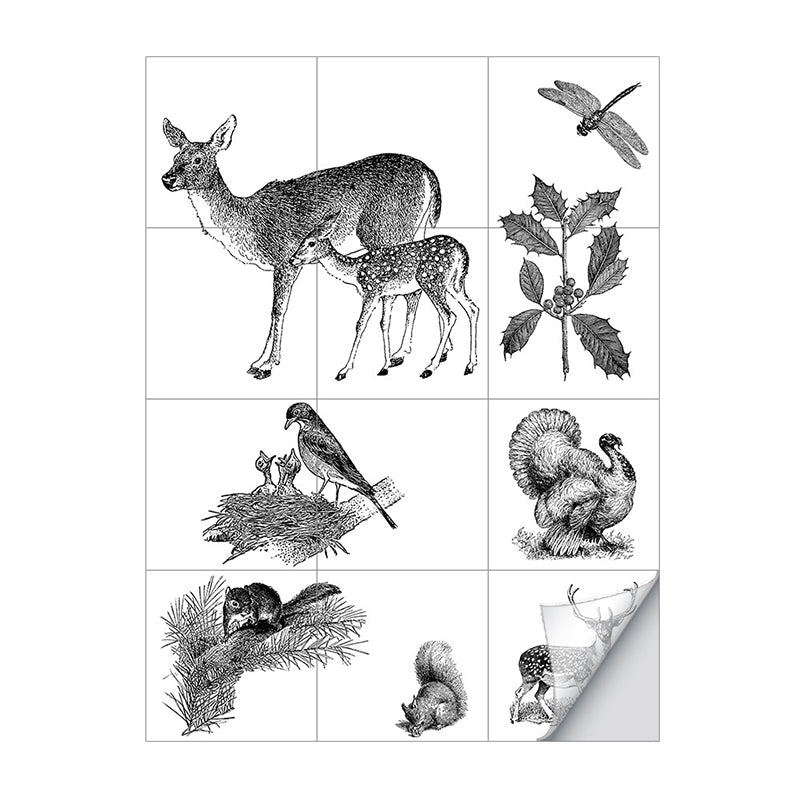 Childrens Art Animal Print Wallpapers Grey Kids Bedroom Adhesive Wall Decor, 8' x 8"