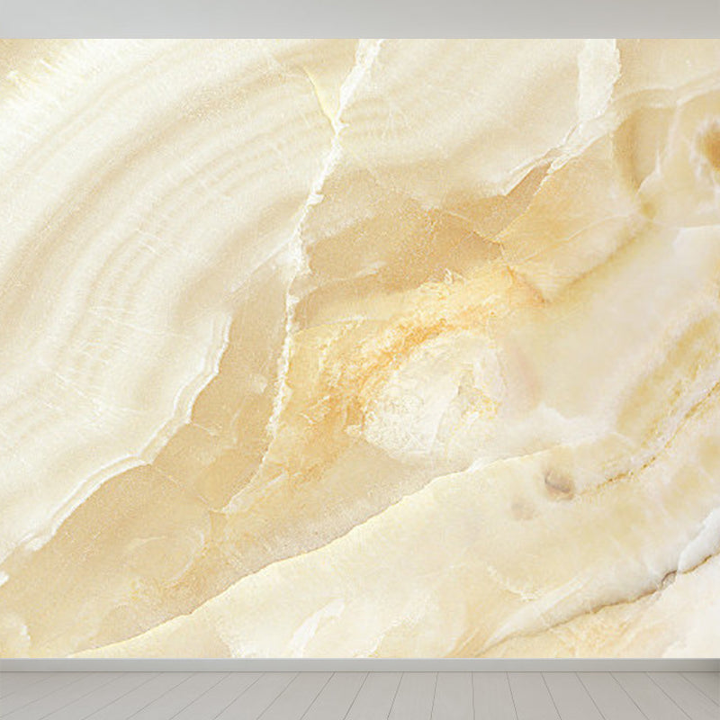 Light Color Abstract Print Mural Wallpaper Moisture-Proof Wall Art for Dining Room