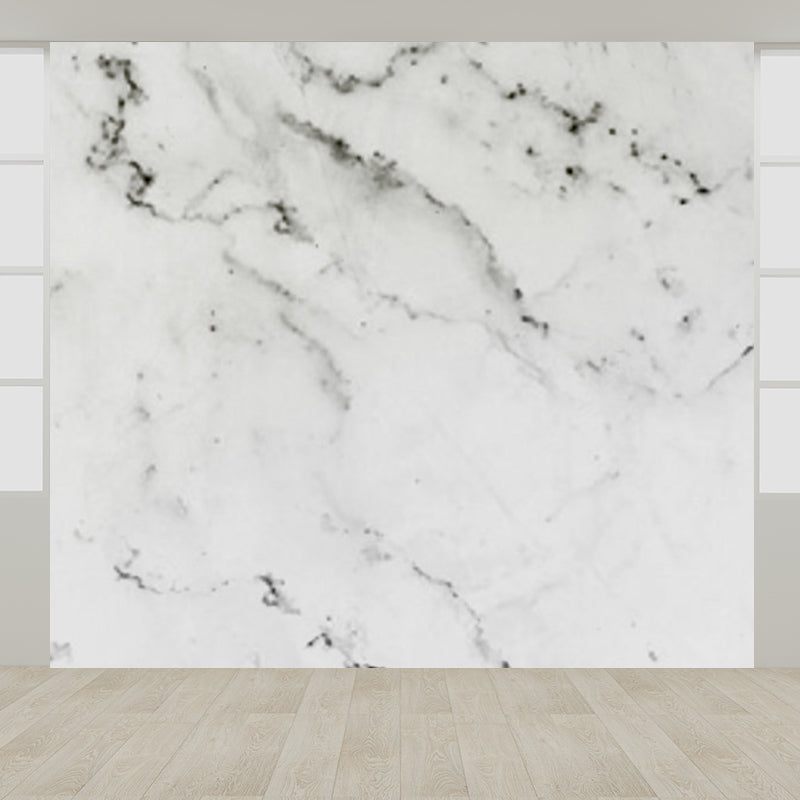 Light Color Abstract Print Mural Wallpaper Moisture-Proof Wall Art for Dining Room