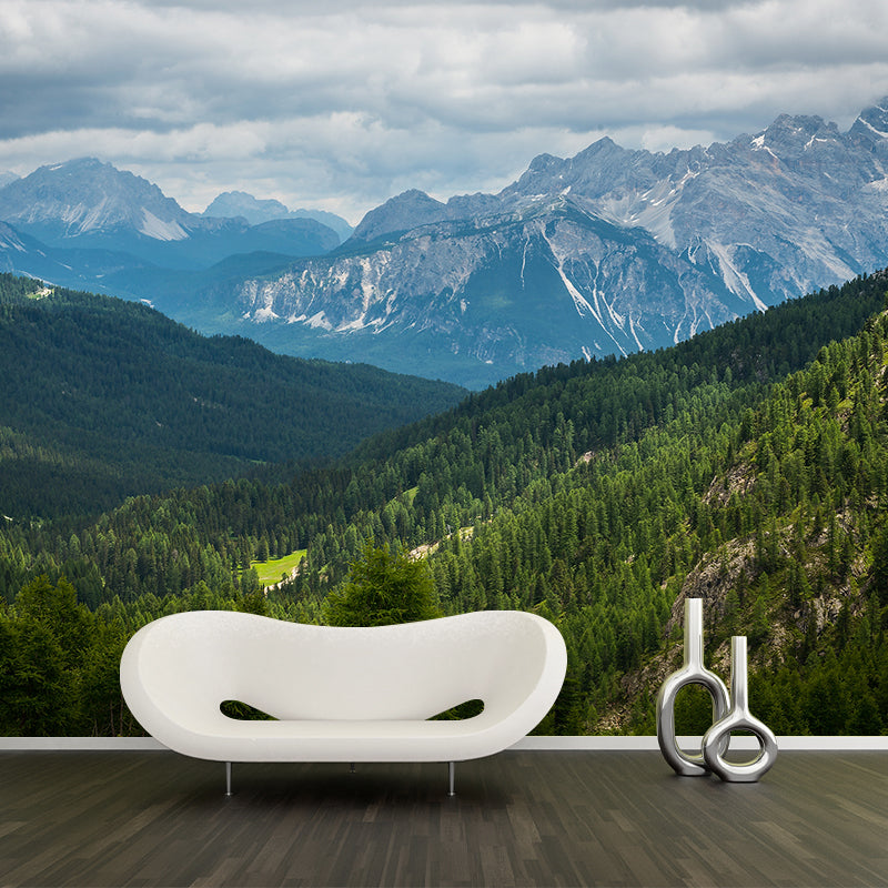 Nature Scenery Mountain Mural Decal Modern Smooth Wall Covering for House Interior