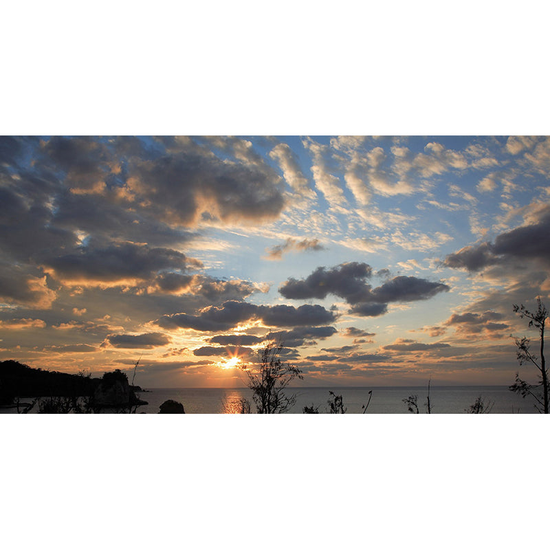 Modern Scenery Evening Clouds Mural Pastel Color Water-Proof Wall Art for Bedroom