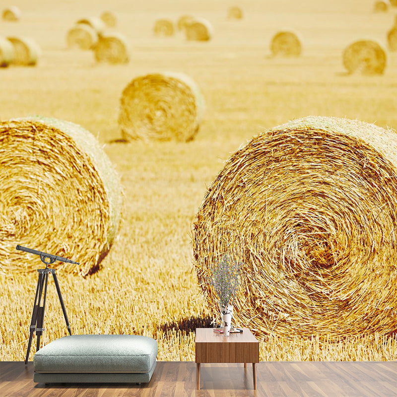 Vast Cornfield Wall Mural Contemporary Decorative Kitchen Wall Art, Custom Size Available