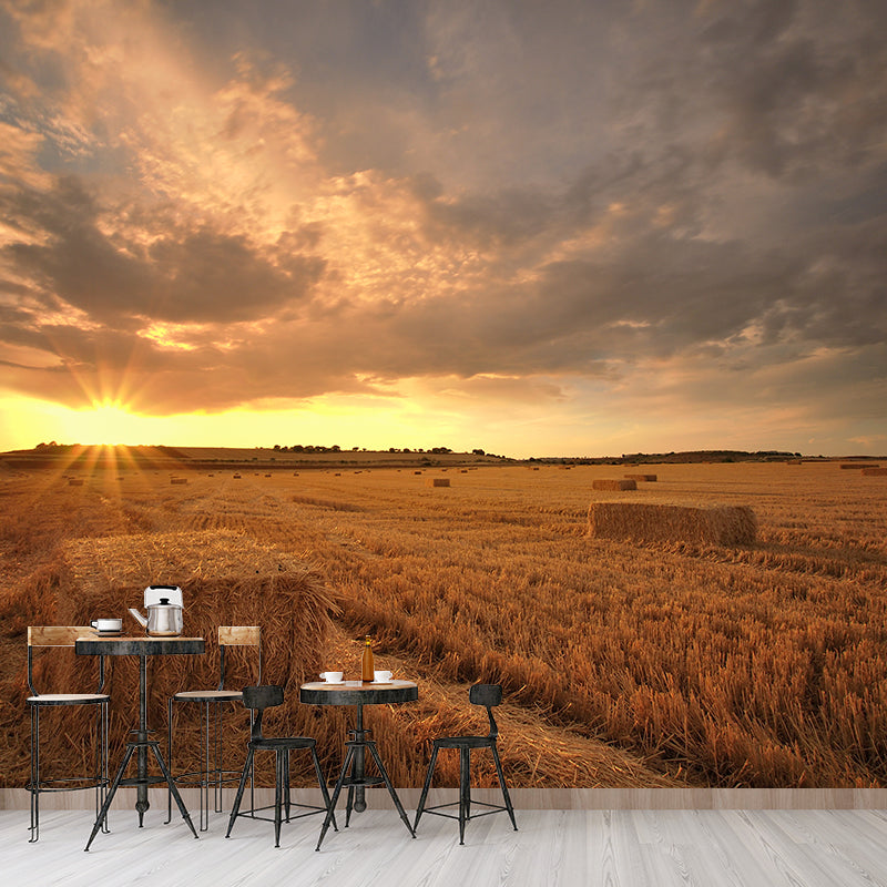 Cornfield Scenery Mural Wallpaper Pastel Color Modern Wall Covering for Drawing Room