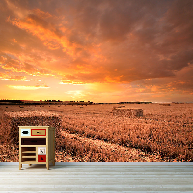 Cornfield Scenery Mural Wallpaper Pastel Color Modern Wall Covering for Drawing Room