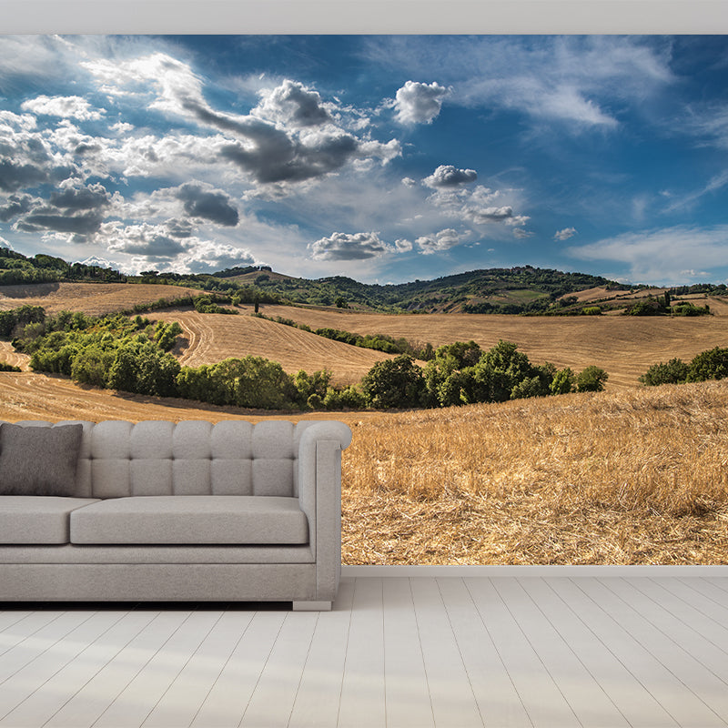 Contemporary Photo Wheat Field Mural Soft Color Stain Resistant Wall Art for Dining Room