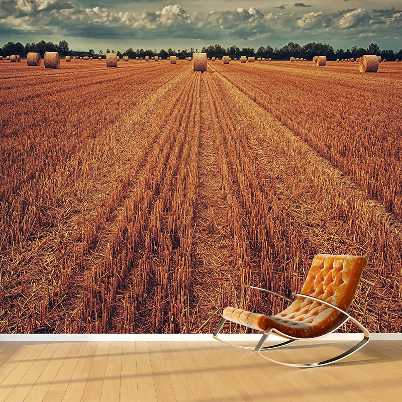 Contemporary Photo Wheat Field Mural Soft Color Stain Resistant Wall Art for Dining Room