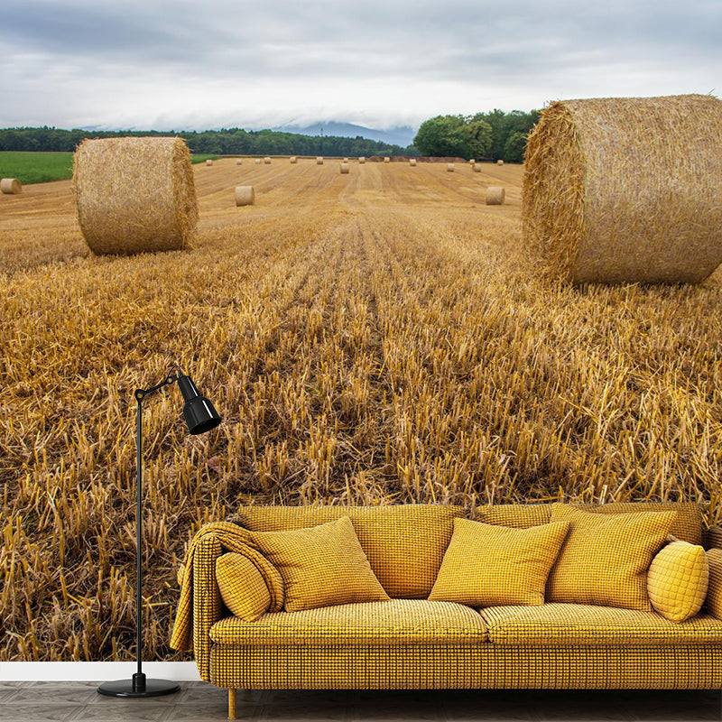 Relaxing Cornfield View Mural Wallpaper Pastel Color Modern Wall Covering for Drawing Room