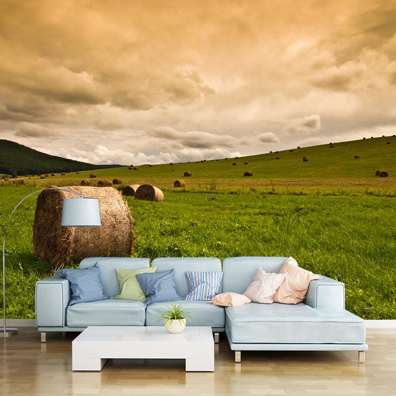 Relaxing Cornfield View Mural Wallpaper Pastel Color Modern Wall Covering for Drawing Room