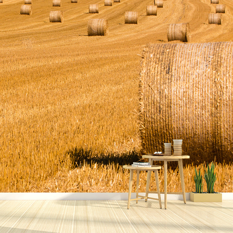 Relaxing Cornfield View Mural Wallpaper Pastel Color Modern Wall Covering for Drawing Room