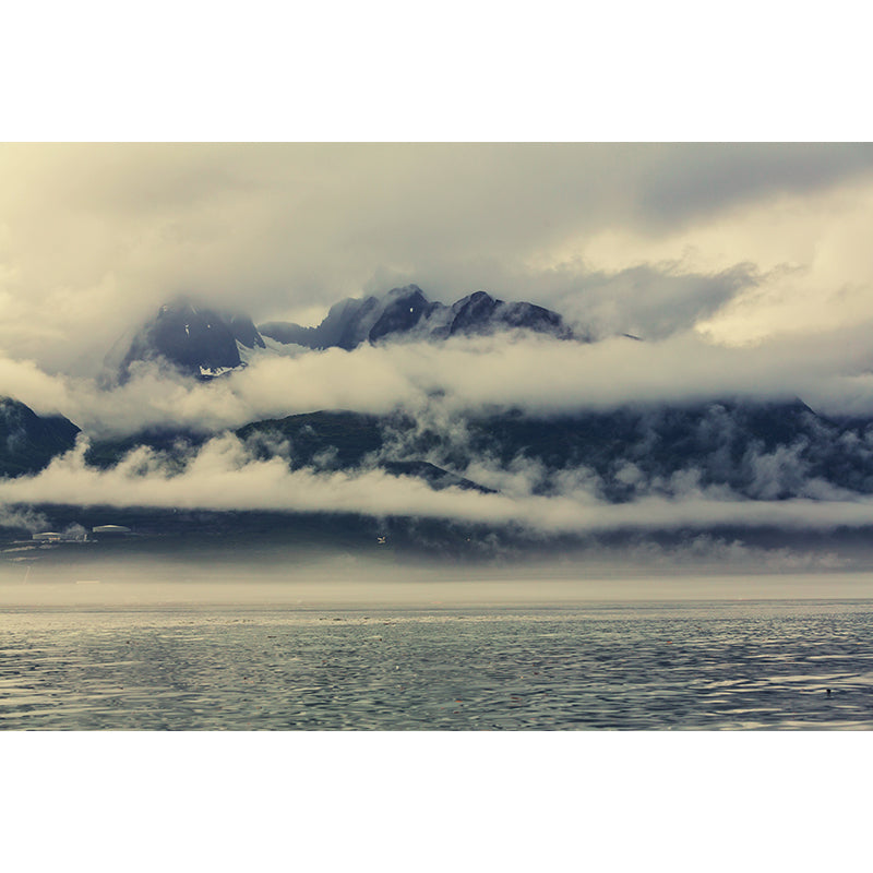 Contemporary Foggy Forest Mural Decal Pastel Color Natural Landscape Wall Covering