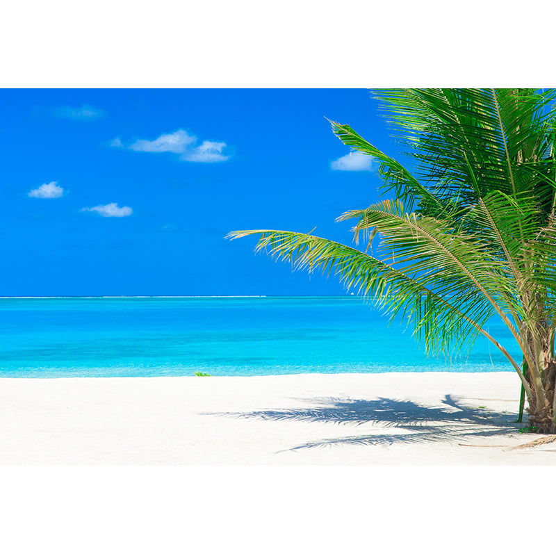 Stunning Beach Landscape Mural Wallpaper for Sitting Room, Soft Color, Custom Print