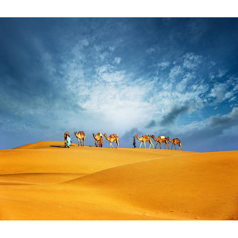 Custom Photo Print Modern Mural with Ship of the Desert Camel Pattern in Nature Color