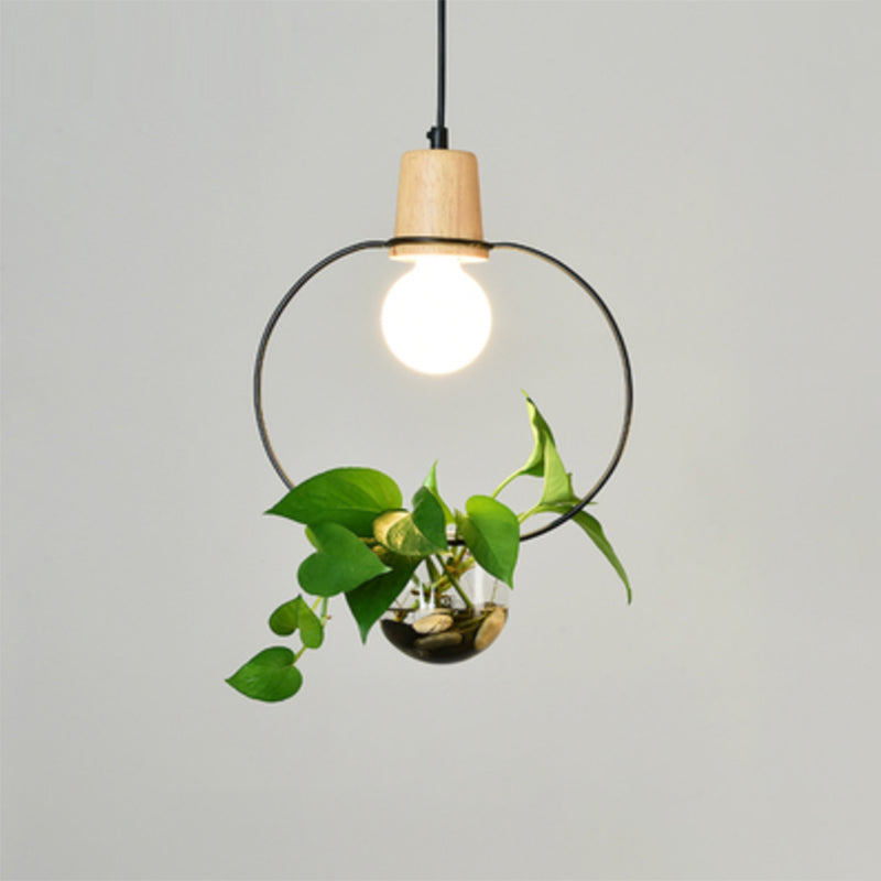 Planter Hanging Lamp Contemporary Clear Glass 1-Light Study Room Lighting Pendant