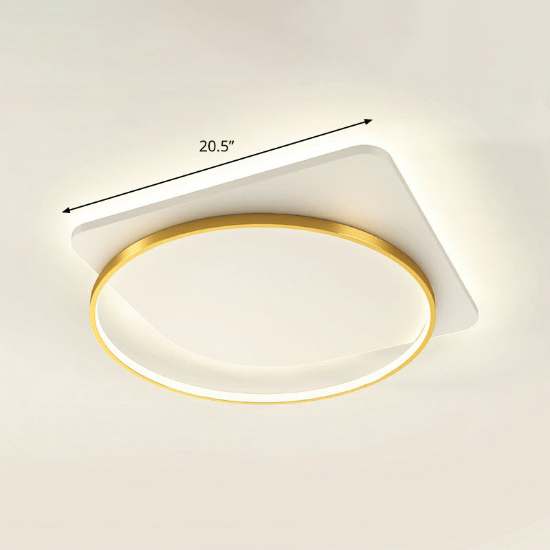 Acrylic Loop Shaped Ceiling Mount Lamp Simplicity LED Flush-Mount Light Fixture for Aisle