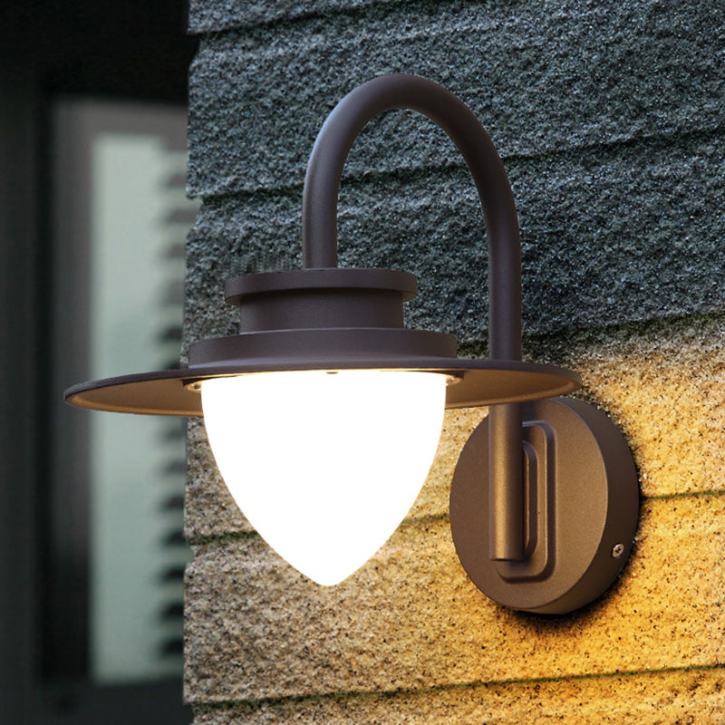 Strawberry Garden Wall Mount Light Metal Minimalist LED Wall Sconce with Gooseneck Arm in Black