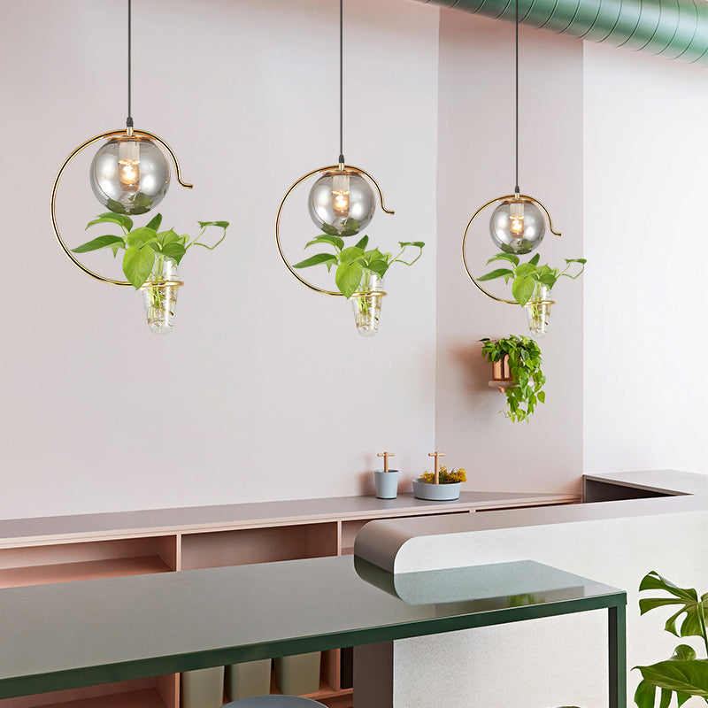 Restaurante de la pelota Luz de péndulo de 1 luces colgantes de vidrio loft con contenedor de plantas de cono