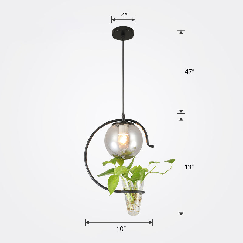 Restaurante de la pelota Luz de péndulo de 1 luces colgantes de vidrio loft con contenedor de plantas de cono