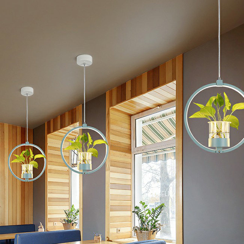 Lampada per sospensione della sala da pranzo acrilica del soffitto a led circolare circolare nordico con secchio di vetro