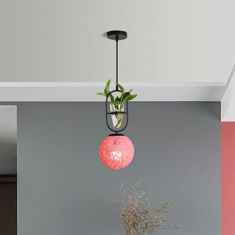 Single-Bulb Spherical Pendulum Light Decorative Rattan Hanging Lamp with Cone Glass Plant Container