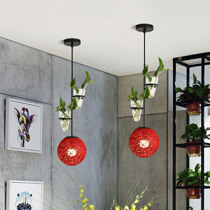 Single-Bulb Spherical Pendulum Light Decorative Rattan Hanging Lamp with Cone Glass Plant Container