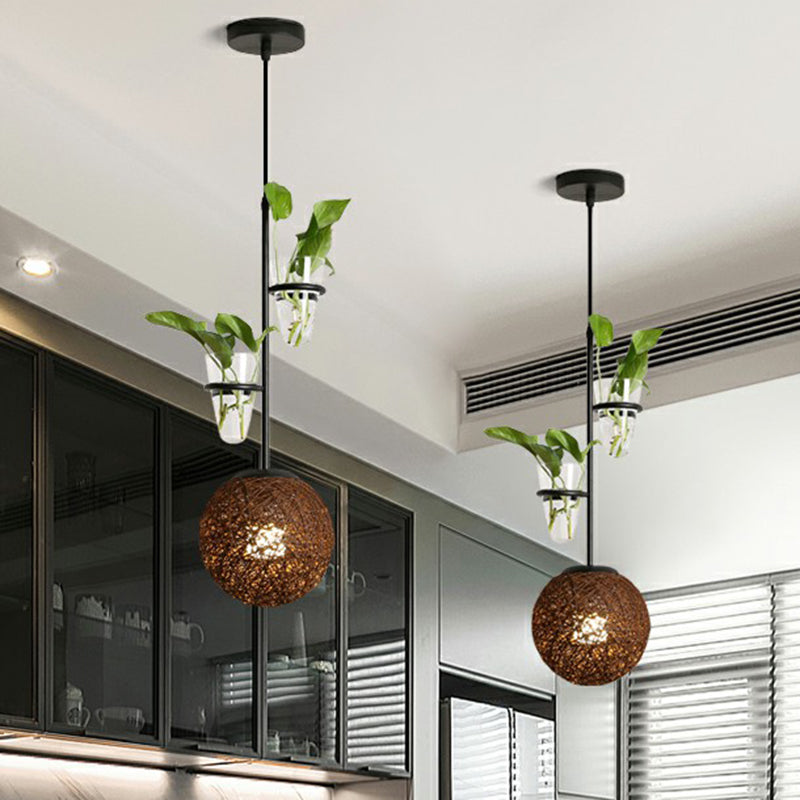 Single-Bulb Spherical Pendulum Light Decorative Rattan Hanging Lamp with Cone Glass Plant Container